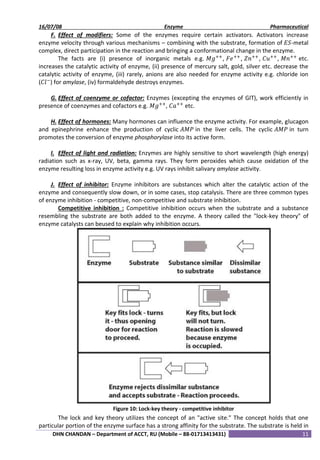 Notes on Enzyme | PDF
