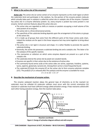 Notes on Enzyme | PDF