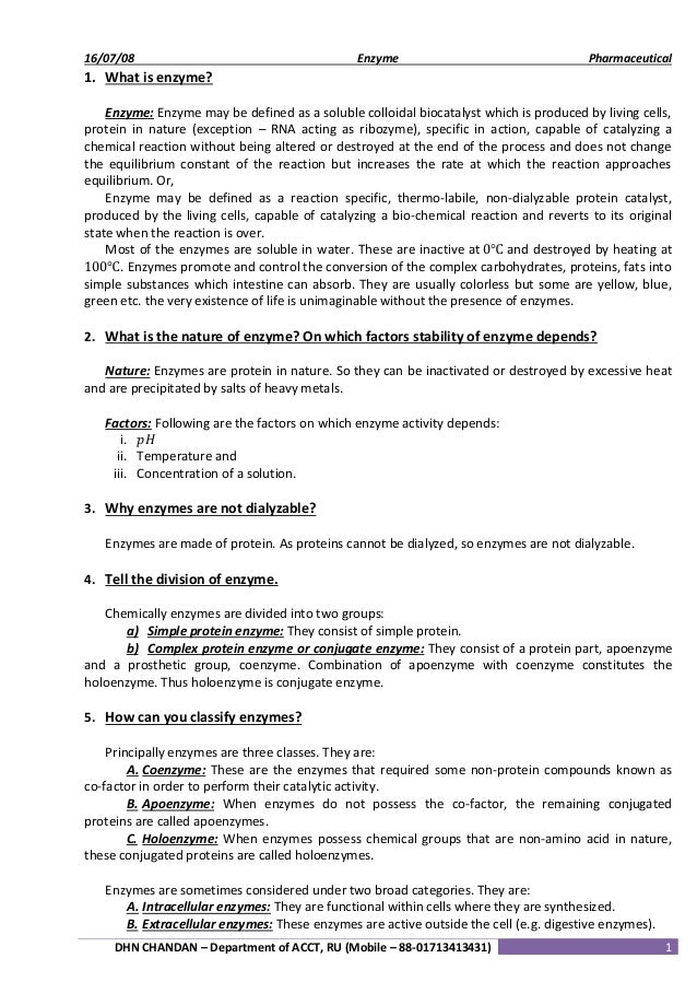 Divide and classify essay