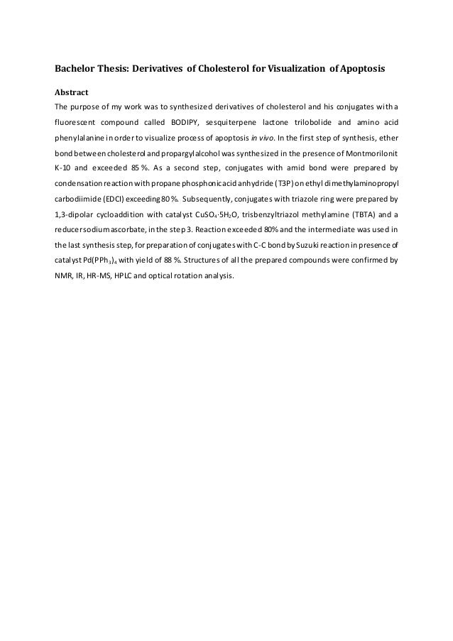 Bachelor thesis databases image