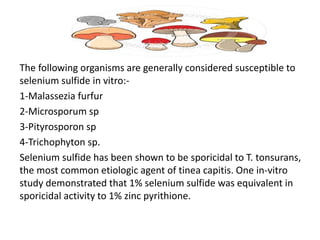 -
The following organisms are generally considered susceptible to
selenium sulfide in vitro:-
1-Malassezia furfur
2-Microsporum sp
3-Pityrosporon sp
4-Trichophyton sp.
Selenium sulfide has been shown to be sporicidal to T. tonsurans,
the most common etiologic agent of tinea capitis. One in-vitro
study demonstrated that 1% selenium sulfide was equivalent in
sporicidal activity to 1% zinc pyrithione.
 