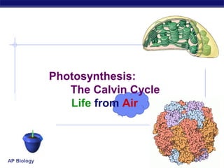 Photosynthesis:
The Calvin Cycle
Life from Air

AP Biology

2007-2008

 