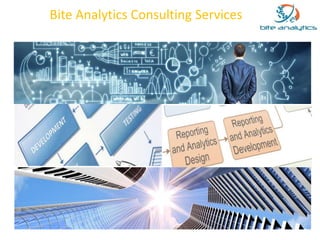 Bite Analytics Consulting Services 
 