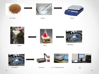 Carrom Seeds Crushing Heating
Centrifugation
StirringFiltration
Centrifugation pH analysis UV – Vis Spectrophotometry DLS
 