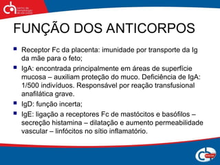 FUNÇÃO DOS ANTICORPOS
 Receptor Fc da placenta: imunidade por transporte da Ig
da mãe para o feto;
 IgA: encontrada principalmente em áreas de superfície
mucosa – auxiliam proteção do muco. Deficiência de IgA:
1/500 indivíduos. Responsável por reação transfusional
anafilática grave.
 IgD: função incerta;
 IgE: ligação a receptores Fc de mastócitos e basófilos –
secreção histamina – dilatação e aumento permeabilidade
vascular – linfócitos no sítio inflamatório.
 