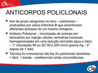 ANTICORPOS POLICLONAIS
 Acs de grupo sanguíneo no soro – policlonais –
produzidos por vários linfócitos B que reconhecem
diferentes epítopos de um mesmo Antígeno.
 Antisoro Policlonal – imunização de animais em
laboratório por injeção células vermelhas humanas
homogeneizadas em uma solução (emulsão água e óleo)
– 1° inoculação IM ou SC 50 a 200 micro grama Ag – 2°
depois de 1 mês.
 Técnica Ac monoclonal não fez Ac policlonais obsoletos -
+ fácil, + barato – preferencial certas circunstâncias.
 