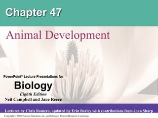 Copyright © 2008 Pearson Education, Inc., publishing as Pearson Benjamin Cummings
PowerPoint® Lecture Presentations for
Biology
Eighth Edition
Neil Campbell and Jane Reece
Lectures by Chris Romero, updated by Erin Barley with contributions from Joan Sharp
Chapter 47
Animal Development
 
