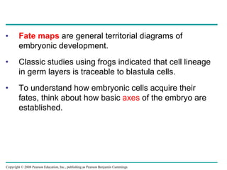 Copyright © 2008 Pearson Education, Inc., publishing as Pearson Benjamin Cummings
• Fate maps are general territorial diagrams of
embryonic development.
• Classic studies using frogs indicated that cell lineage
in germ layers is traceable to blastula cells.
• To understand how embryonic cells acquire their
fates, think about how basic axes of the embryo are
established.
 
