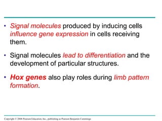 Copyright © 2008 Pearson Education, Inc., publishing as Pearson Benjamin Cummings
• Signal molecules produced by inducing cells
influence gene expression in cells receiving
them.
• Signal molecules lead to differentiation and the
development of particular structures.
• Hox genes also play roles during limb pattern
formation.
 