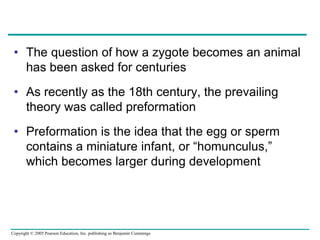 Preformation 47_EMBRIOLOGIA ANIMAL.ppt