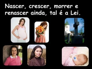 Nascer, crescer, morrer e
renascer ainda, tal é a Lei.
 