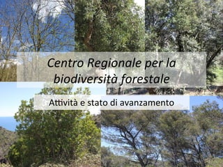 Centro	
  Regionale	
  per	
  la	
  
biodiversità	
  forestale	
  
A#vità	
  e	
  stato	
  di	
  avanzamento	
  
 