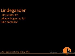 Lindegaaden
- Resultater fra
udgravningen syd for
Ribe domkirke




Arkæologisk orientering, Kolding 2012
 