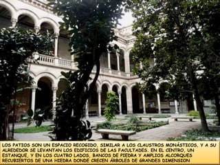 LOS PATIOS SON UN ESPACIO RECOGIDO, SIMILAR A LOS CLAUSTROS MONÁSTICOS, Y A SU ALREDEDOR SE LEVANTAN LOS EDIFICIOS DE LAS FACULTADES. EN EL CENTRO, UN ESTANQUE, Y EN LOS CUATRO LADOS, BANCOS DE PIEDRA Y AMPLIOS ALCORQUES RECUBIERTOS DE UNA HIEDRA DONDE CRECEN ÁRBOLES DE GRANDES DIMENSION