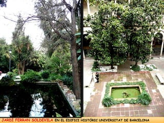 JARDÍ FERRAN SOLDEVILA EN EL EDIFICI HISTÓRIC UNIVERSITAT DE BARCELONA