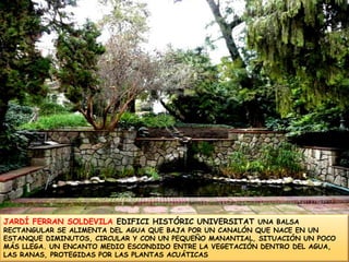 JARDÍ FERRAN SOLDEVILA EDIFICI HISTÓRIC UNIVERSITAT UNA BALSA RECTANGULAR SE ALIMENTA DEL AGUA QUE BAJA POR UN CANALÓN QUE NACE EN UN ESTANQUE DIMINUTOS, CIRCULAR Y CON UN PEQUEÑO MANANTIAL, SITUACIÓN UN POCO MÁS LLEGA. UN ENCANTO MEDIO ESCONDIDO ENTRE LA VEGETACIÓN DENTRO DEL AGUA, LAS RANAS, PROTEGIDAS POR LAS PLANTAS ACUÁTICAS 