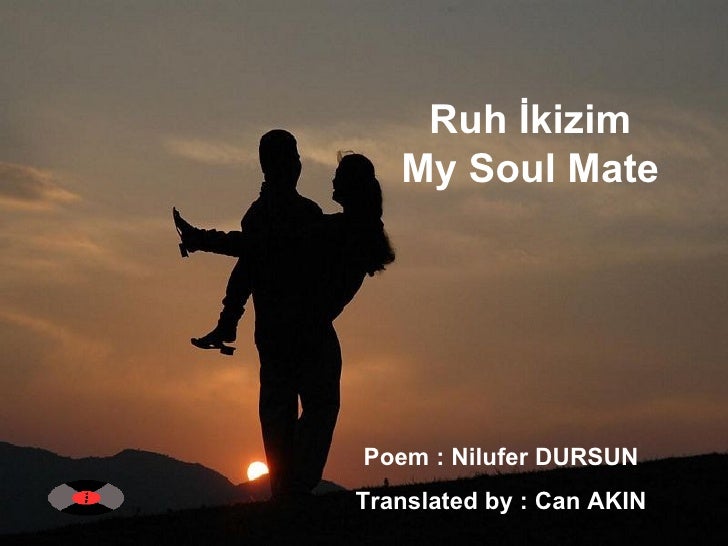 Ruh Ikizim Nilufer Caglar Nadir Kitap