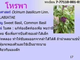 ชื่อวิทยาศาสตร์  Ocimum basilicum  Linn.   ชื่อวงศ์  LABIATAE ชื่อสามัญ  Sweet Basil, Common Basil   ประโยชน์  ใบสด   :  แก้ท้องอืดท้องเฟ้อ พบว่ามีน้ำมัน หอมระเหย ซึ่งเพิ่มการบีบตัวของลำไส้เล็ก ของสัตว์ทดลอง ทำให้ขับลมออกจากลำไส้ได้ดี ถ้านำผลมาแช่น้ำ เปลือกหุ้มจะพองตัวและใช้เป็นยาระบาย ได้เช่นเดียวกับแมงลัก  โหรพา ทะเบียน  7-77110-001-017 