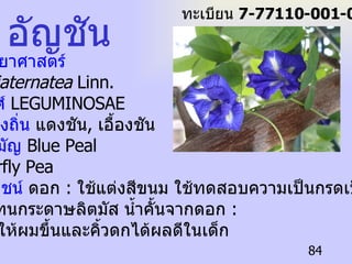 อัญชัน ชื่อวิทยาศาสตร์   Clitoriaternatea  Linn.   ชื่อวงศ์  LEGUMINOSAE ชื่อท้องถิ่น  แดงชัน ,  เอื้องชัน ชื่อสามัญ  Blue Peal Butterfly Pea ประโยชน์  ดอก   :  ใช้แต่งสีขนม ใช้ทดสอบความเป็นกรดเป็น ด่างแทนกระดาษลิตมัส   น้ำคั้นจากดอก   : ทาทำให้ผมขึ้นและคิ้วดกได้ผลดีในเด็ก ทะเบียน  7-77110-001-084 