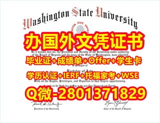 国外学位证书代办华盛顿州立大学文凭学历证书