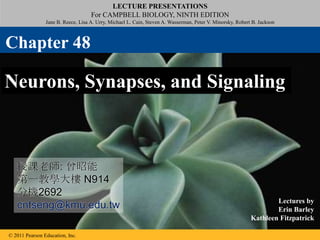 LECTURE PRESENTATIONS
For CAMPBELL BIOLOGY, NINTH EDITION
Jane B. Reece, Lisa A. Urry, Michael L. Cain, Steven A. Wasserman, Peter V. Minorsky, Robert B. Jackson
© 2011 Pearson Education, Inc.
Lectures by
Erin Barley
Kathleen Fitzpatrick
Neurons, Synapses, and Signaling
Chapter 48
授課老師: 曾昭能
第一教學大樓 N914
分機2692
cntseng@kmu.edu.tw
 