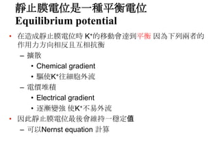 靜止膜電位是一種平衡電位
Equilibrium potential
• 在造成靜止膜電位時 K+的移動會達到平衡 因為下列兩者的
作用力方向相反且互相抗衡
– 擴散
• Chemical gradient
• 驅使K+往細胞外流
– 電價堆積
• Electrical gradient
• 逐漸變強 使K+不易外流
• 因此靜止膜電位最後會維持一穩定值
– 可以Nernst equation 計算
 