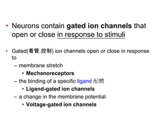 • Neurons contain gated ion channels that
open or close in response to stimuli
• Gated(看管,控制) ion channels open or close in response
to
– membrane stretch
• Mechanoreceptors
– the binding of a specific ligand 配體
• Ligand-gated ion channels
– a change in the membrane potential
• Voltage-gated ion channels
 