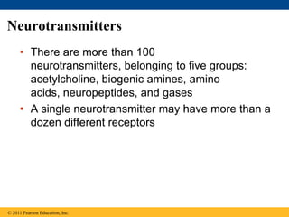Neurotransmitters
• There are more than 100
neurotransmitters, belonging to five groups:
acetylcholine, biogenic amines, amino
acids, neuropeptides, and gases
• A single neurotransmitter may have more than a
dozen different receptors
© 2011 Pearson Education, Inc.
 
