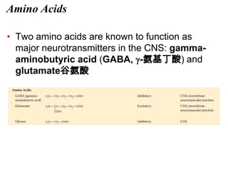 Amino Acids
• Two amino acids are known to function as
major neurotransmitters in the CNS: gamma-
aminobutyric acid (GABA, -氨基丁酸) and
glutamate谷氨酸
 