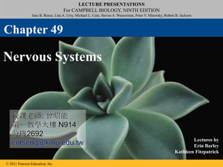 LECTURE PRESENTATIONS
For CAMPBELL BIOLOGY, NINTH EDITION
Jane B. Reece, Lisa A. Urry, Michael L. Cain, Steven A. Wasserman, Peter V. Minorsky, Robert B. Jackson
© 2011 Pearson Education, Inc.
Lectures by
Erin Barley
Kathleen Fitzpatrick
Nervous Systems
Chapter 49
授課老師: 曾昭能
第一教學大樓 N914
分機2692
cntseng@kmu.edu.tw
 