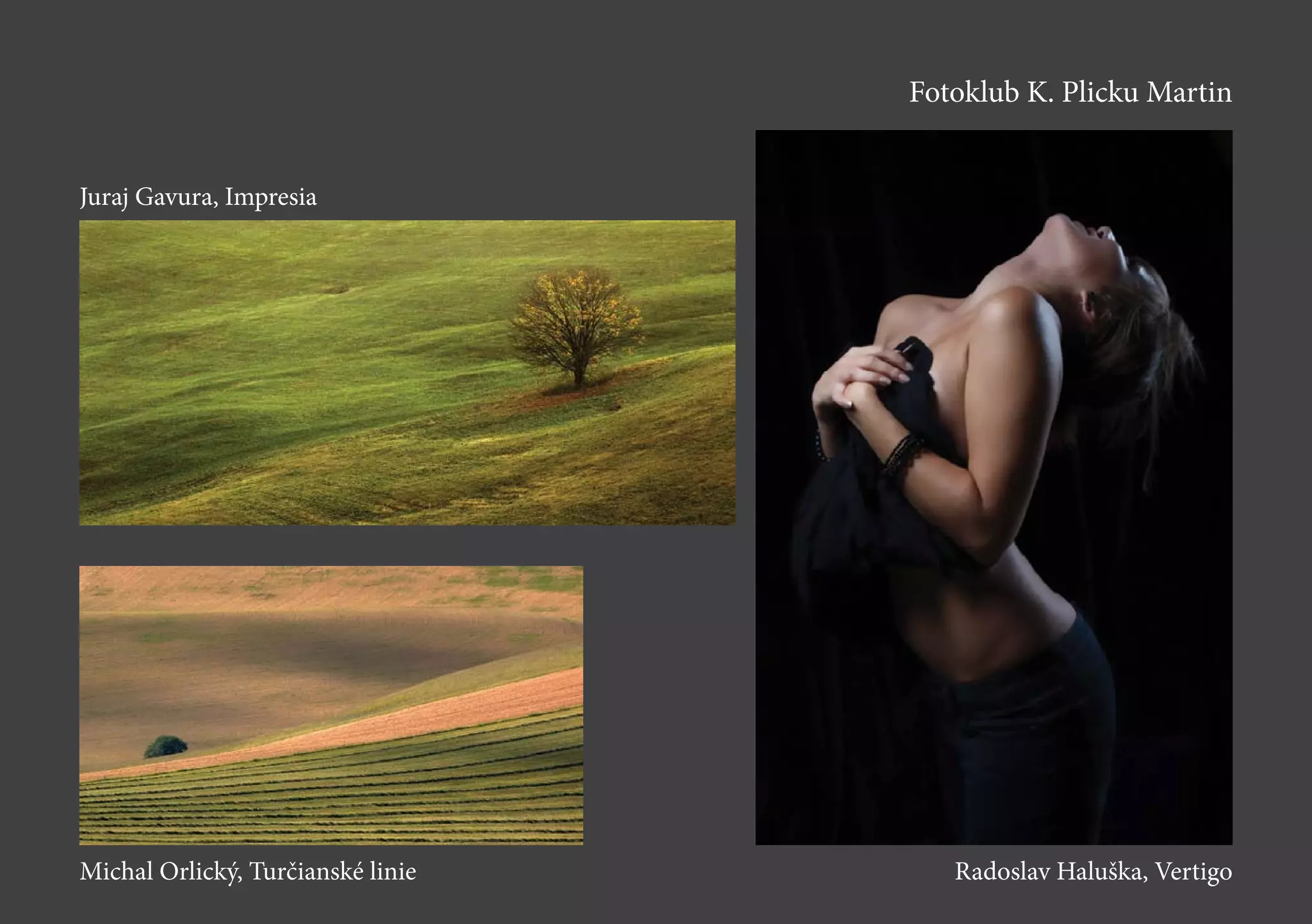 Fotoklub K. Plicku Martin
Juraj Gavura, Impresia
Michal Orlický, Turčianské linie Radoslav Haluška, Vertigo
 