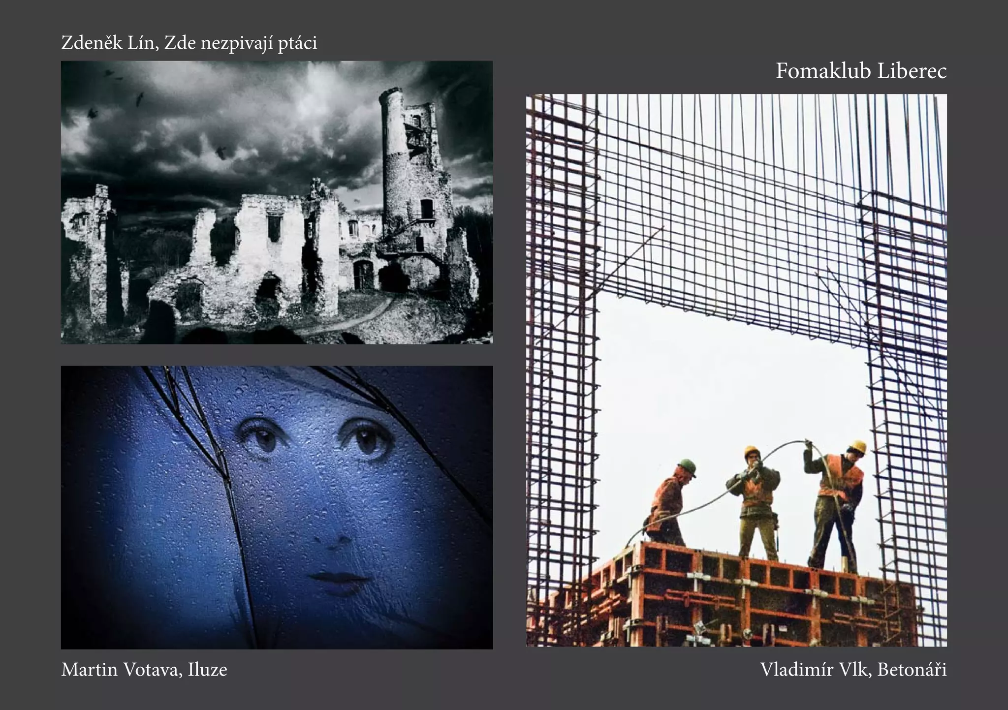Fomaklub Liberec
Martin Votava, Iluze
Zdeněk Lín, Zde nezpivají ptáci
Vladimír Vlk, Betonáři
 