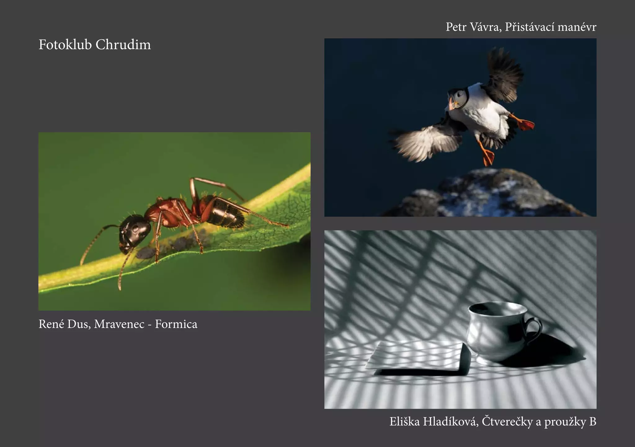 Fotoklub Chrudim
René Dus, Mravenec - Formica
Petr Vávra, Přistávací manévr
Eliška Hladíková, Čtverečky a proužky B
 