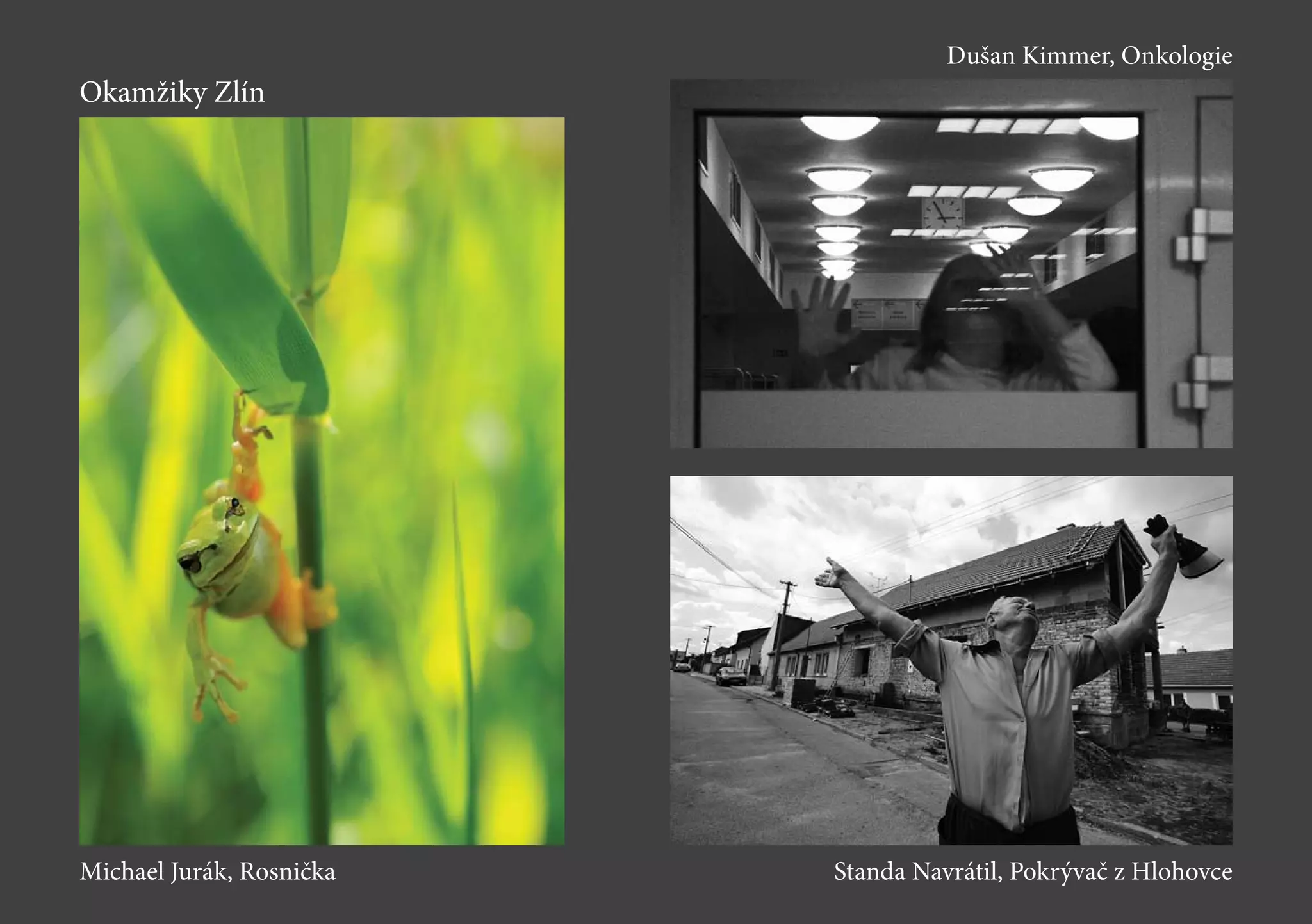 Okamžiky Zlín
Dušan Kimmer, Onkologie
Standa Navrátil, Pokrývač z HlohovceMichael Jurák, Rosnička
 