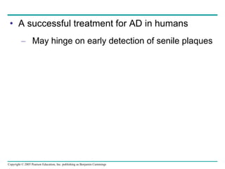 A successful treatment for AD in humans May hinge on early detection of senile plaques 
