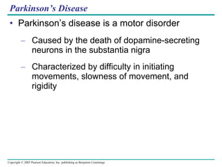 Parkinson’s Disease Parkinson’s disease is a motor disorder Caused by the death of dopamine-secreting neurons in the substantia nigra Characterized by difficulty in initiating movements, slowness of movement, and rigidity 
