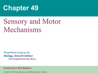 Chapter 49 Sensory and Motor Mechanisms 
