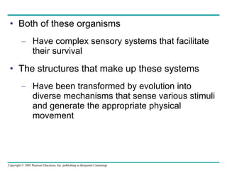 Both of these organisms Have complex sensory systems that facilitate their survival The structures that make up these systems Have been transformed by evolution into diverse mechanisms that sense various stimuli and generate the appropriate physical movement 