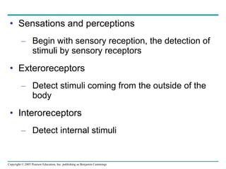 Sensations and perceptions Begin with sensory reception, the detection of stimuli by sensory receptors Exteroreceptors Detect stimuli coming from the outside of the body Interoreceptors Detect internal stimuli 
