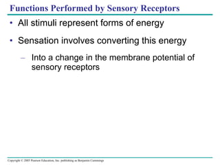 Functions Performed by Sensory Receptors All stimuli represent forms of energy Sensation involves converting this energy Into a change in the membrane potential of sensory receptors 