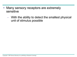 Many sensory receptors are extremely sensitive With the ability to detect the smallest physical unit of stimulus possible 