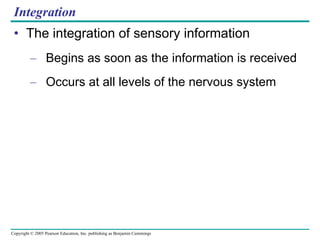 Integration The integration of sensory information Begins as soon as the information is received Occurs at all levels of the nervous system 