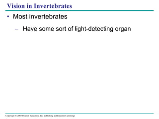 Vision in Invertebrates Most invertebrates Have some sort of light-detecting organ 