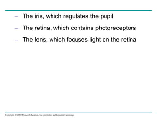 The iris, which regulates the pupil The retina, which contains photoreceptors The lens, which focuses light on the retina 