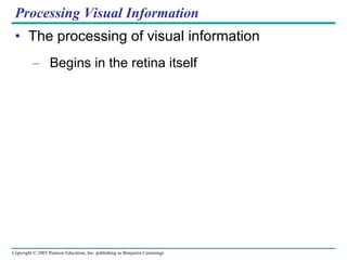 Processing Visual Information The processing of visual information Begins in the retina itself 