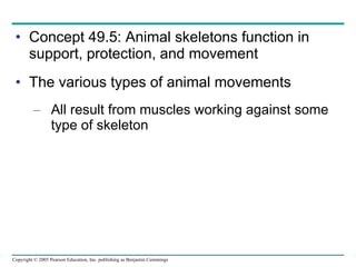 Concept 49.5: Animal skeletons function in support, protection, and movement The various types of animal movements All result from muscles working against some type of skeleton 