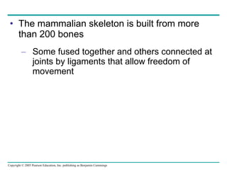 The mammalian skeleton is built from more than 200 bones Some fused together and others connected at joints by ligaments that allow freedom of movement 