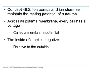 Concept 48.2: Ion pumps and ion channels maintain the resting potential of a neuron Across its plasma membrane, every cell has a voltage  Called a membrane potential The inside of a cell is negative Relative to the outside 