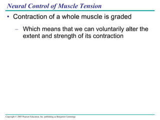 Neural Control of Muscle Tension Contraction of a whole muscle is graded Which means that we can voluntarily alter the extent and strength of its contraction 