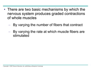 There are two basic mechanisms by which the nervous system produces graded contractions of whole muscles By varying the number of fibers that contract By varying the rate at which muscle fibers are stimulated 